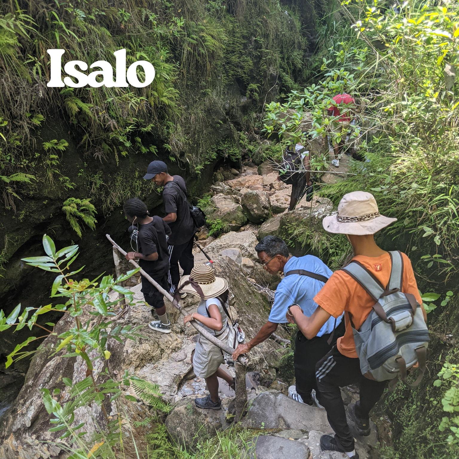 The road to the forest