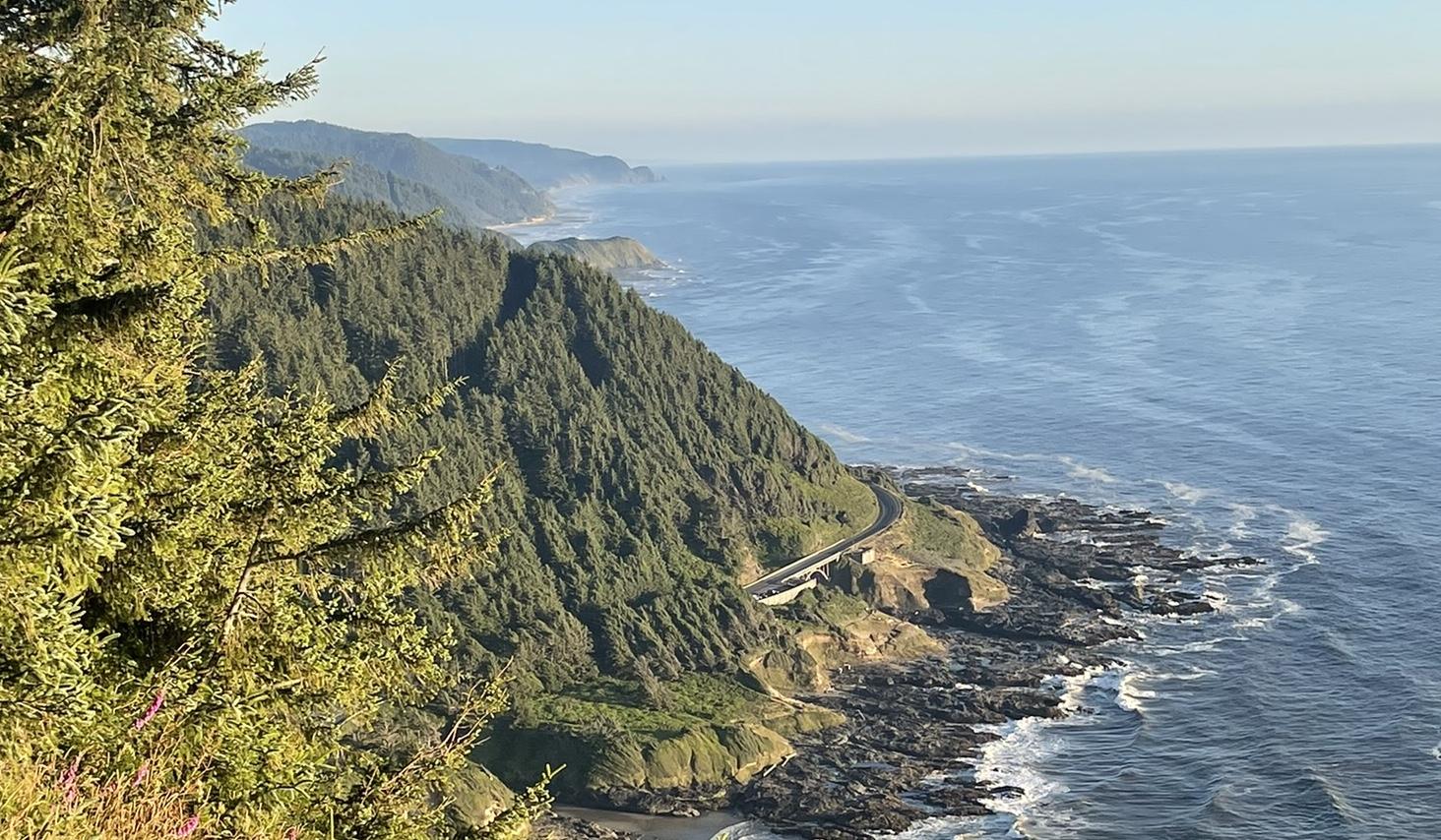 The Wedding Website of Lauren Cappelen and Austin Johnson