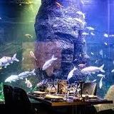 Mr Fisher Restaurant
