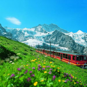 Excursión a Jungfraujoch