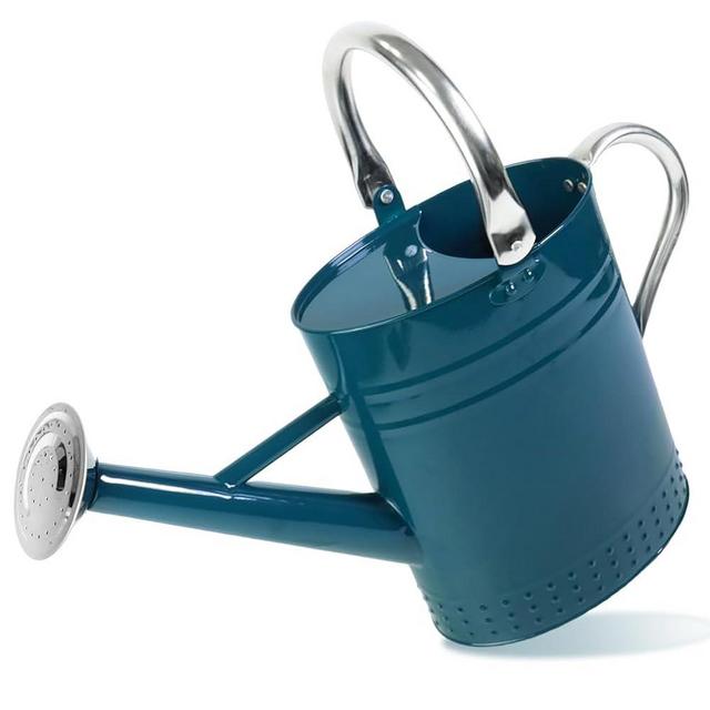 Megawodar 1 Gallon Metal Watering Can with Removable Spout, Nice Galvanized Steel Water Can with Embossed Design for Indoor and Outdoor Plants (Ocean Blue)