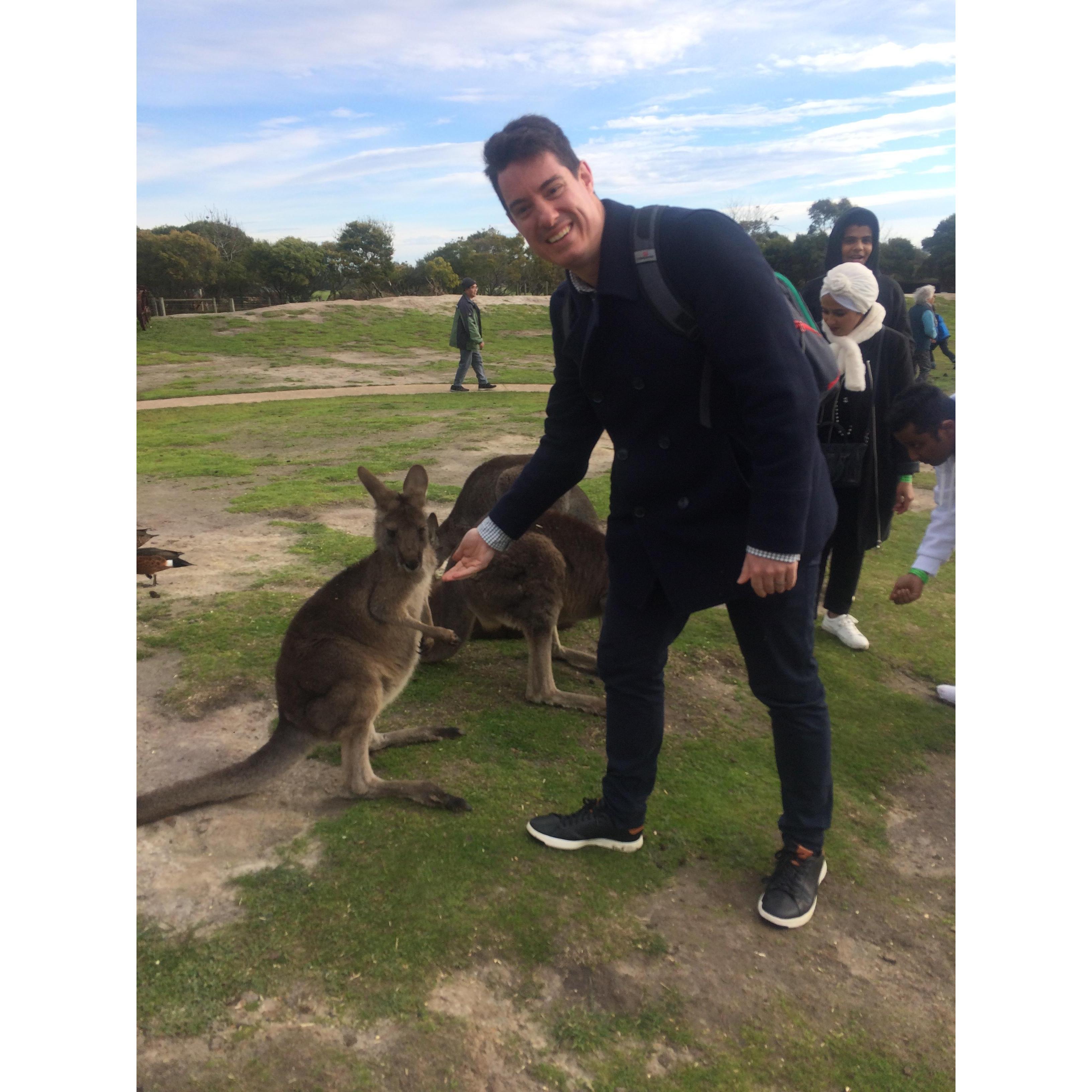 David making friends with the local fauna in Australia!