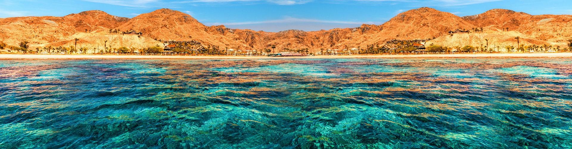 The Wedding Website of Liel Zino and Sam Rubin