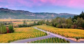 Napa Valley