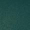 Rainforest Green