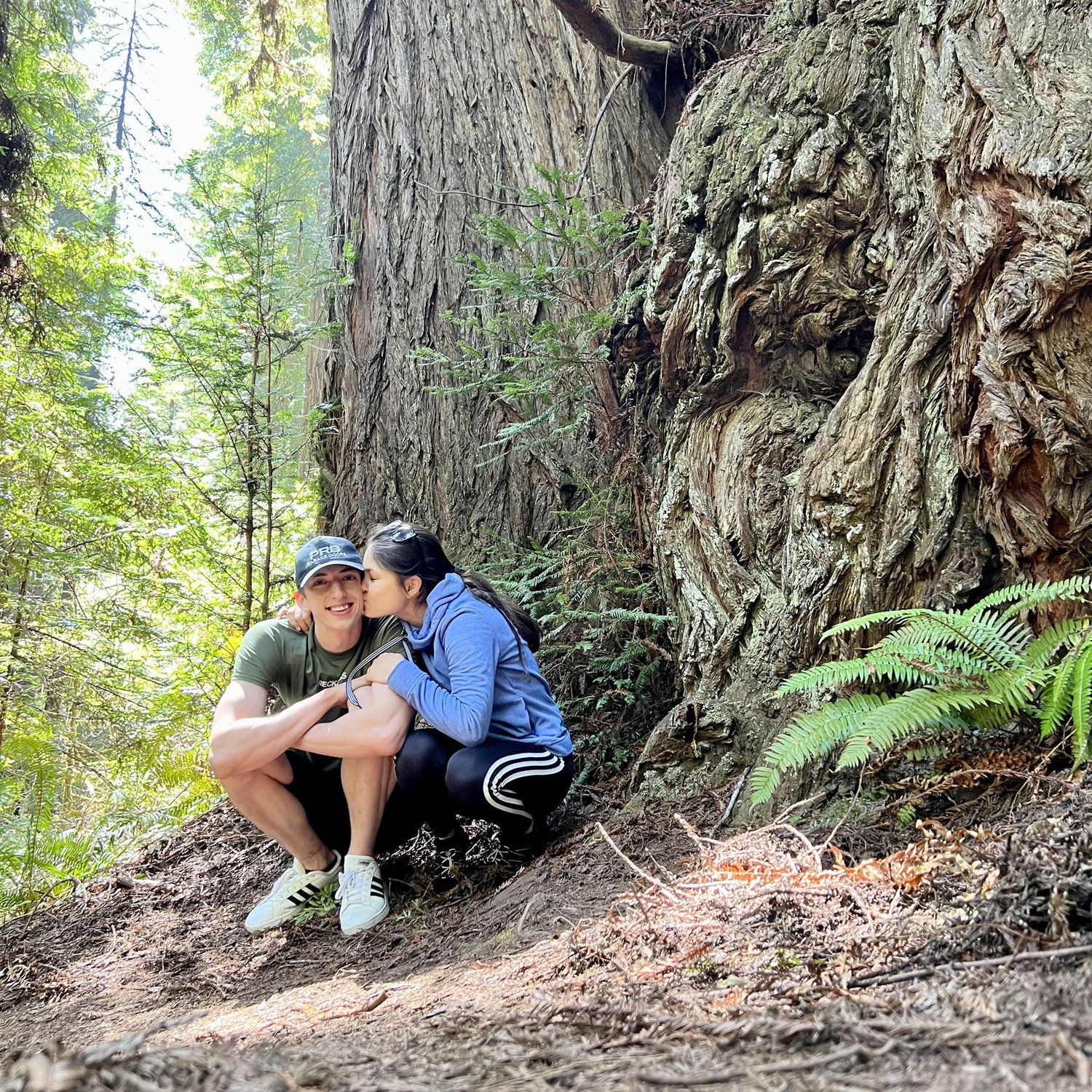 Redwoods together