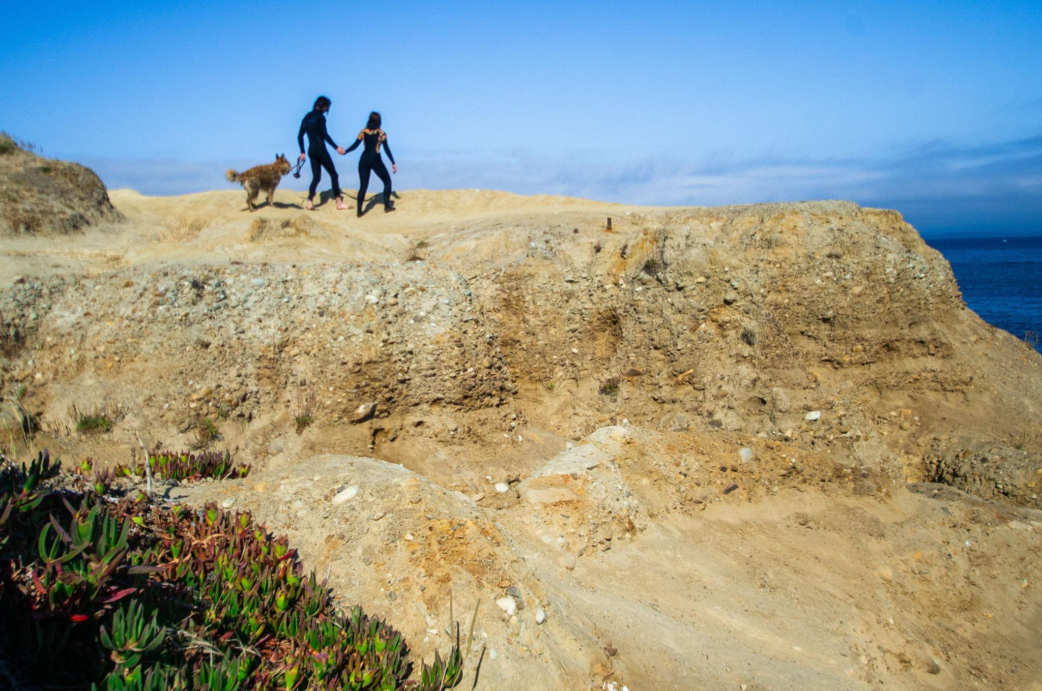 The Wedding Website of David Thomas Schuler and Paloma Hamlett Schuler