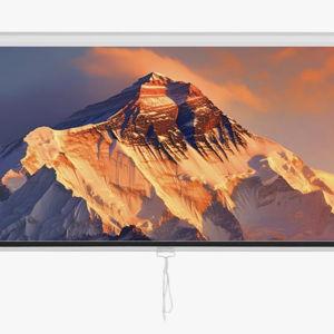 VEVOR Outdoor Manual Projector Screen Projector Screen