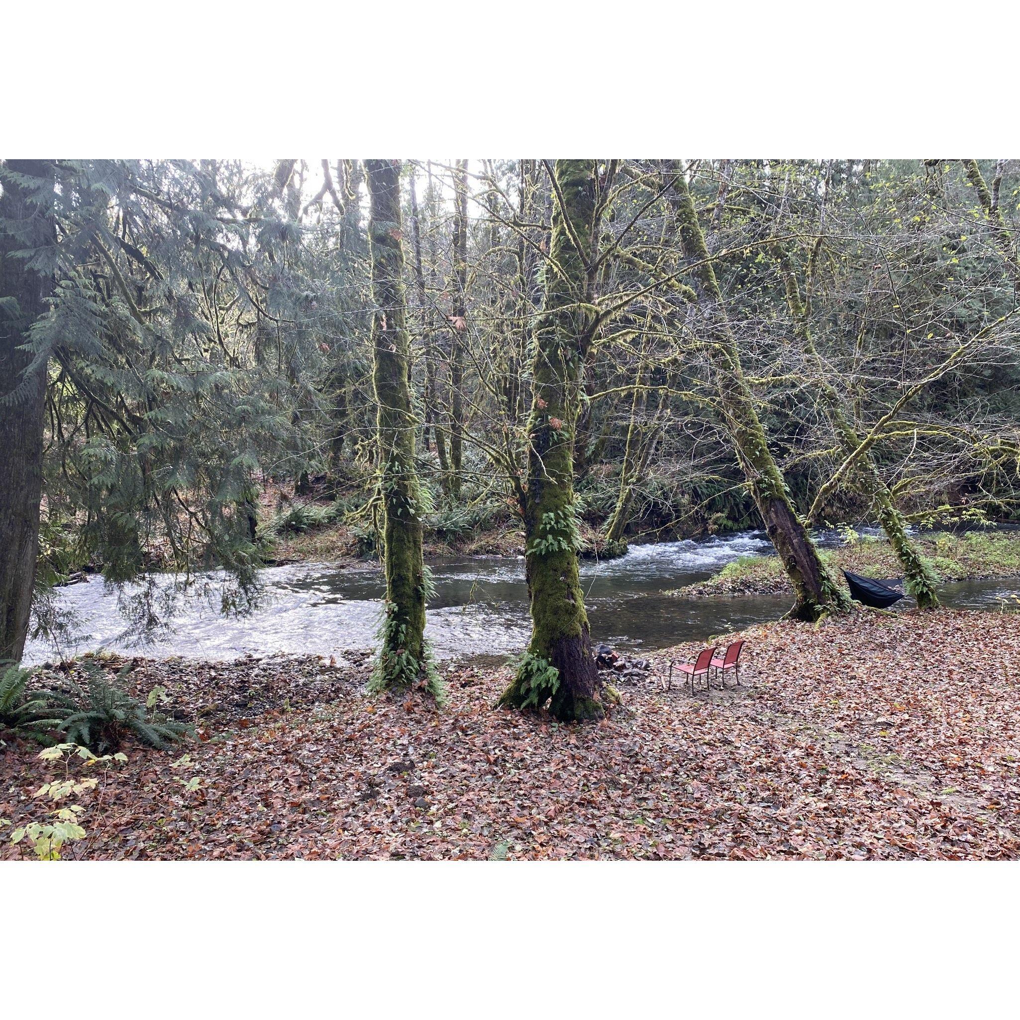 Shady Grove in the fall