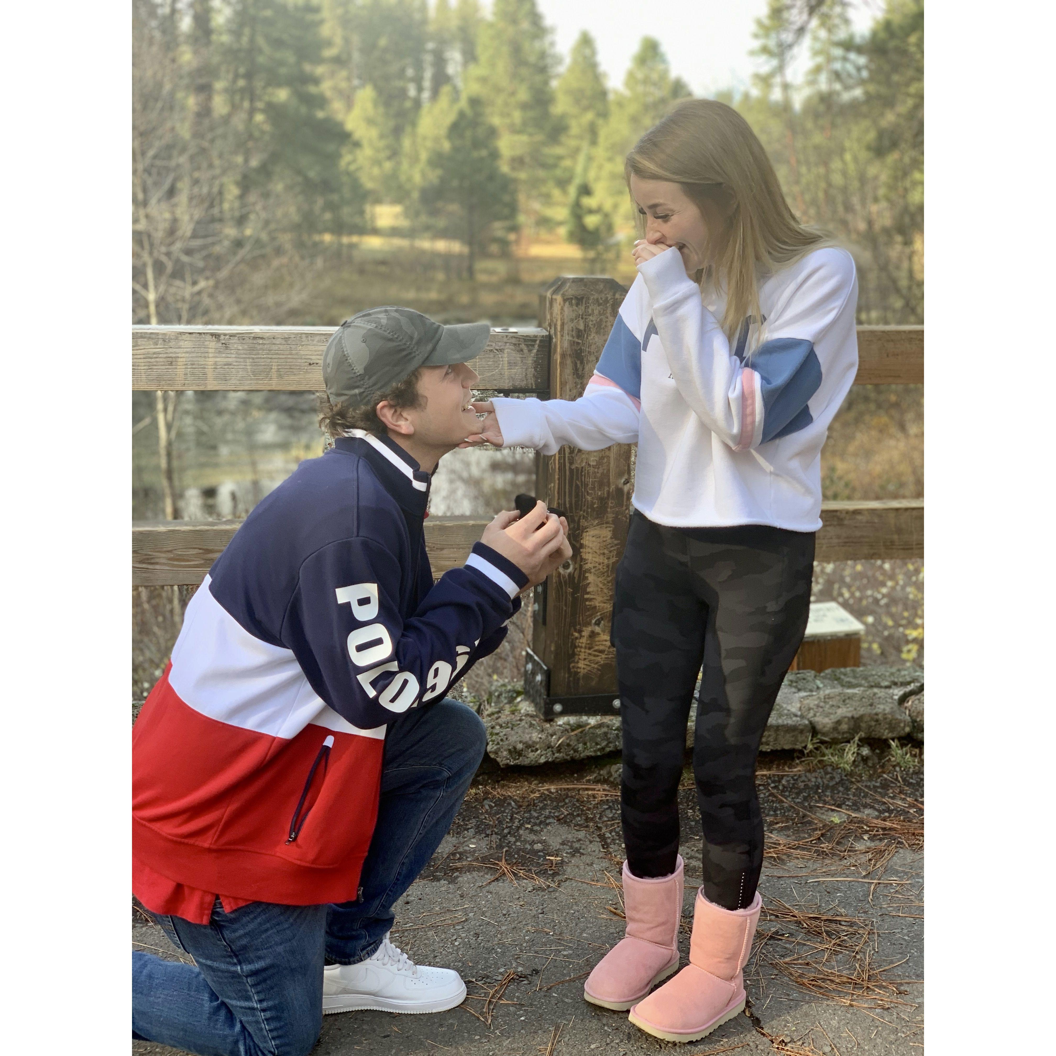 Engagement
