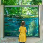 MK Nature Center - Idaho Fish and Game