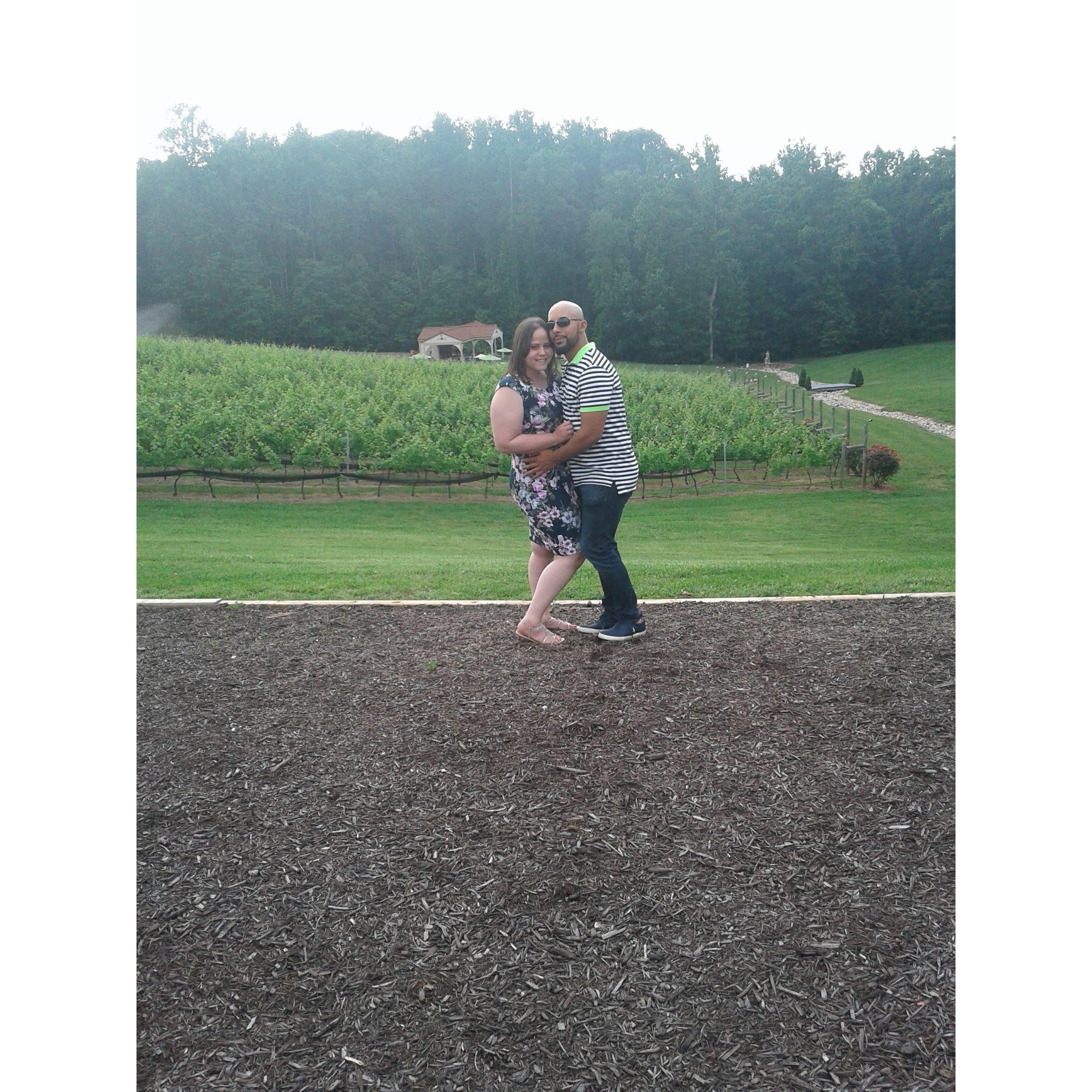 Another Vineyard :)