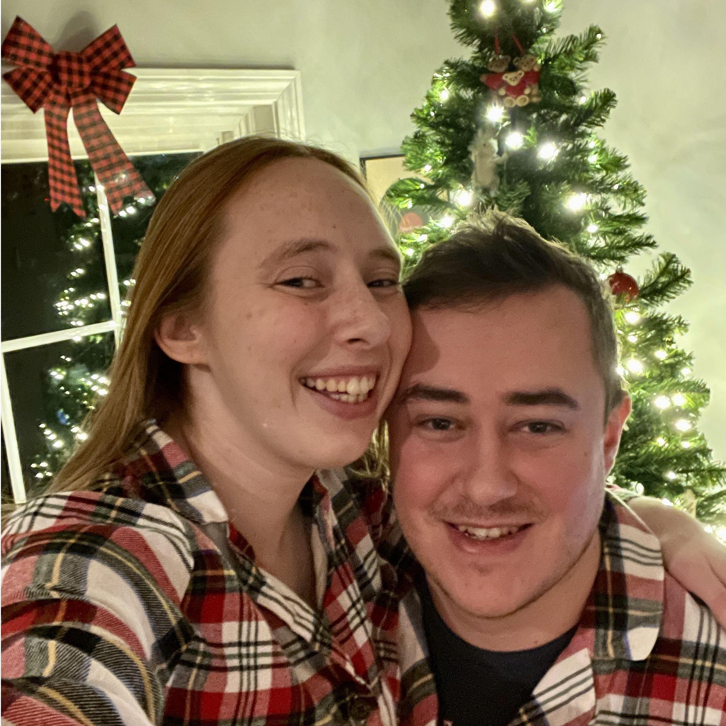 Winter 2024 - Setting up our own Christmas tree