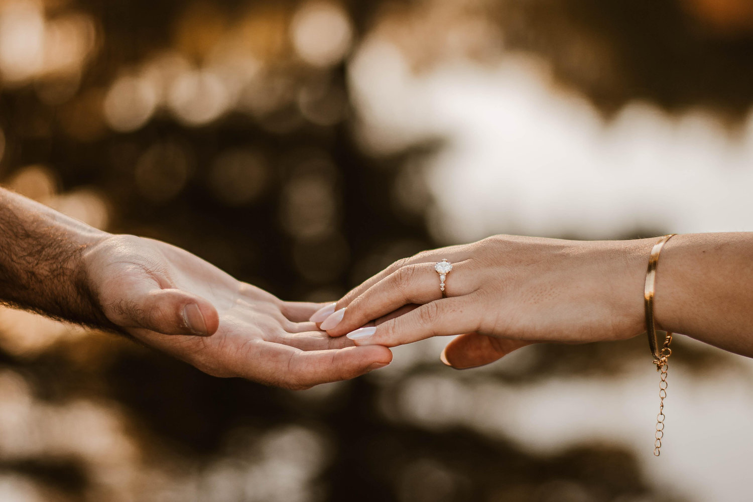 The Wedding Website of Adrianna Faloon and Nicholas Nuzum