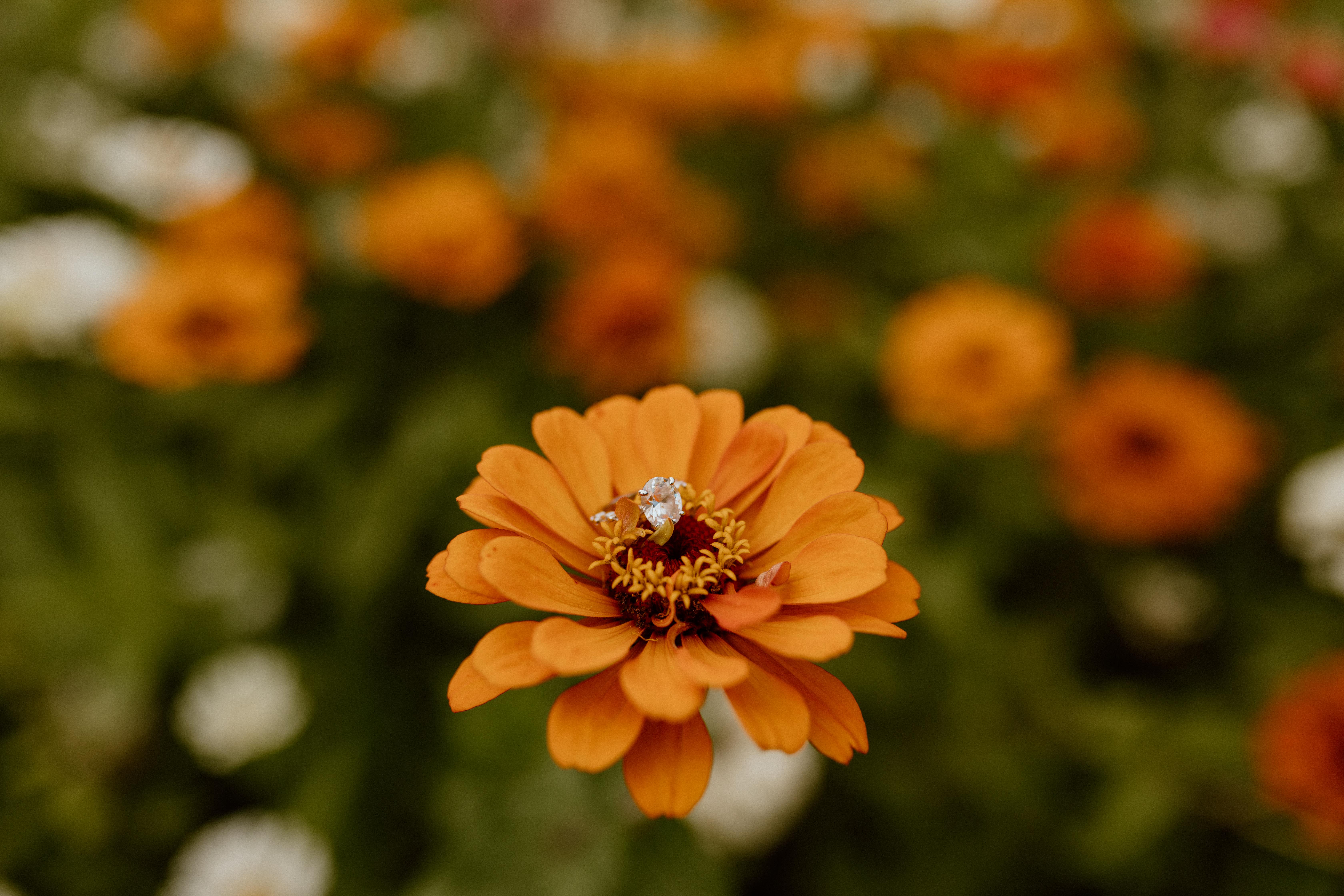 The Wedding Website of Ashley Jones and Blaine Patterson