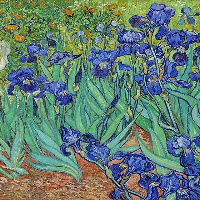 Paper Placemats for Dining Table Mats Disposable Table Linens Van Gogh Irises Table Decor Pk 24 Table Placemats