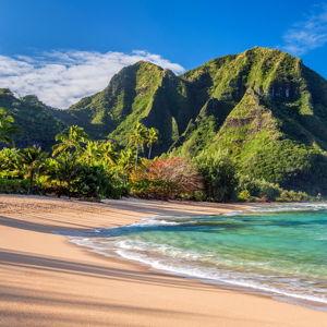 Dream Hawaii Honeymoon