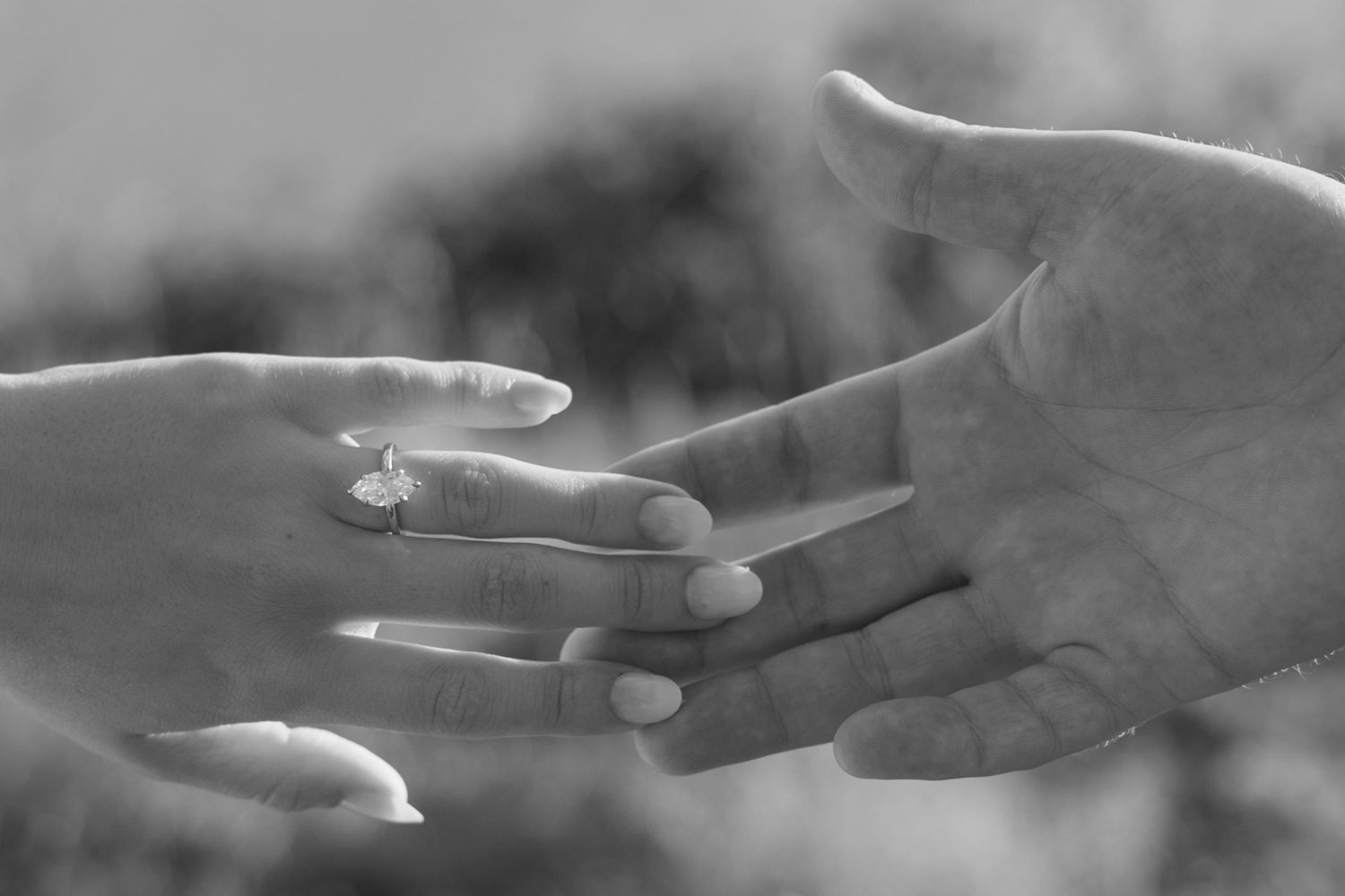 The Wedding Website of Macy Henslee and William Combee