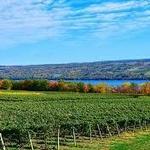 Finger Lakes Wineries