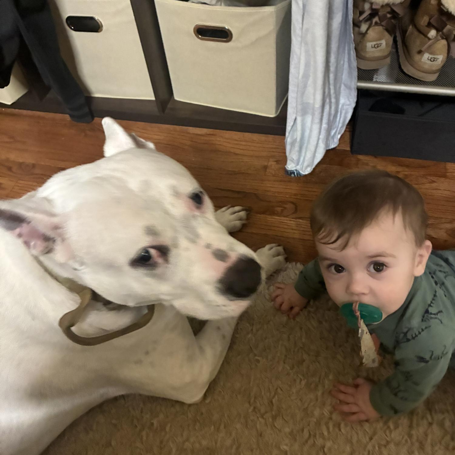 Lucky and Luke loving life