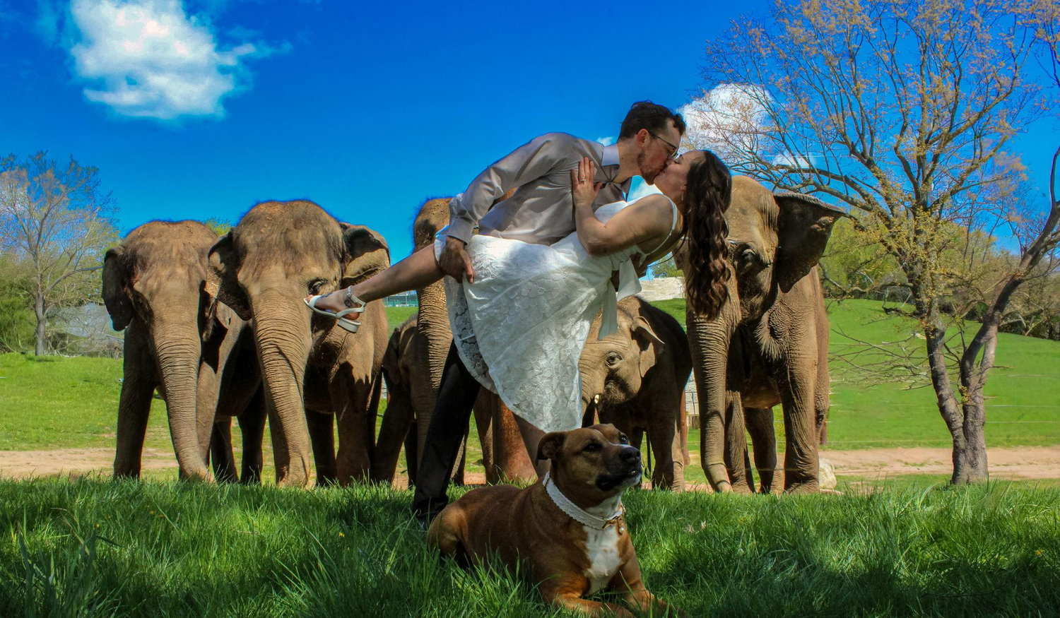 Alinda Dygert and Nicholas Campagna's Wedding Website
