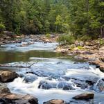Sweetwater Creek State Park
