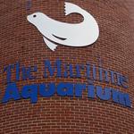 The Maritime Aquarium at Norwalk