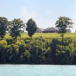 Thirsty Owl Wine Company