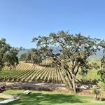 B.R. Cohn Winery and Olive Oil Company