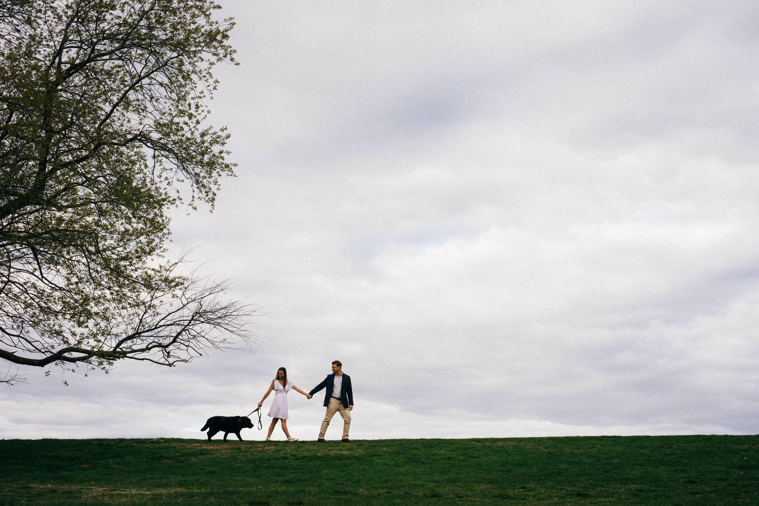 The Wedding Website of Diana Katsikaris and John Waite