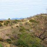 Fryman Trailhead