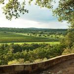 Driftwood Estate Winery