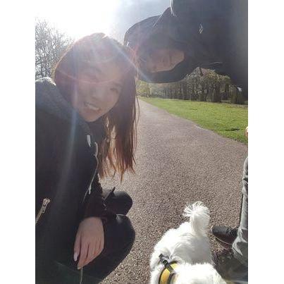 First time Mochi saw deer and he went ballistic (it's really hard to take photos with dogs!)