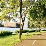 Charles River Running Path