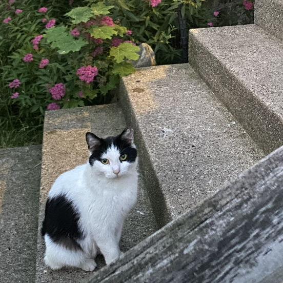 One of our favorite girls..