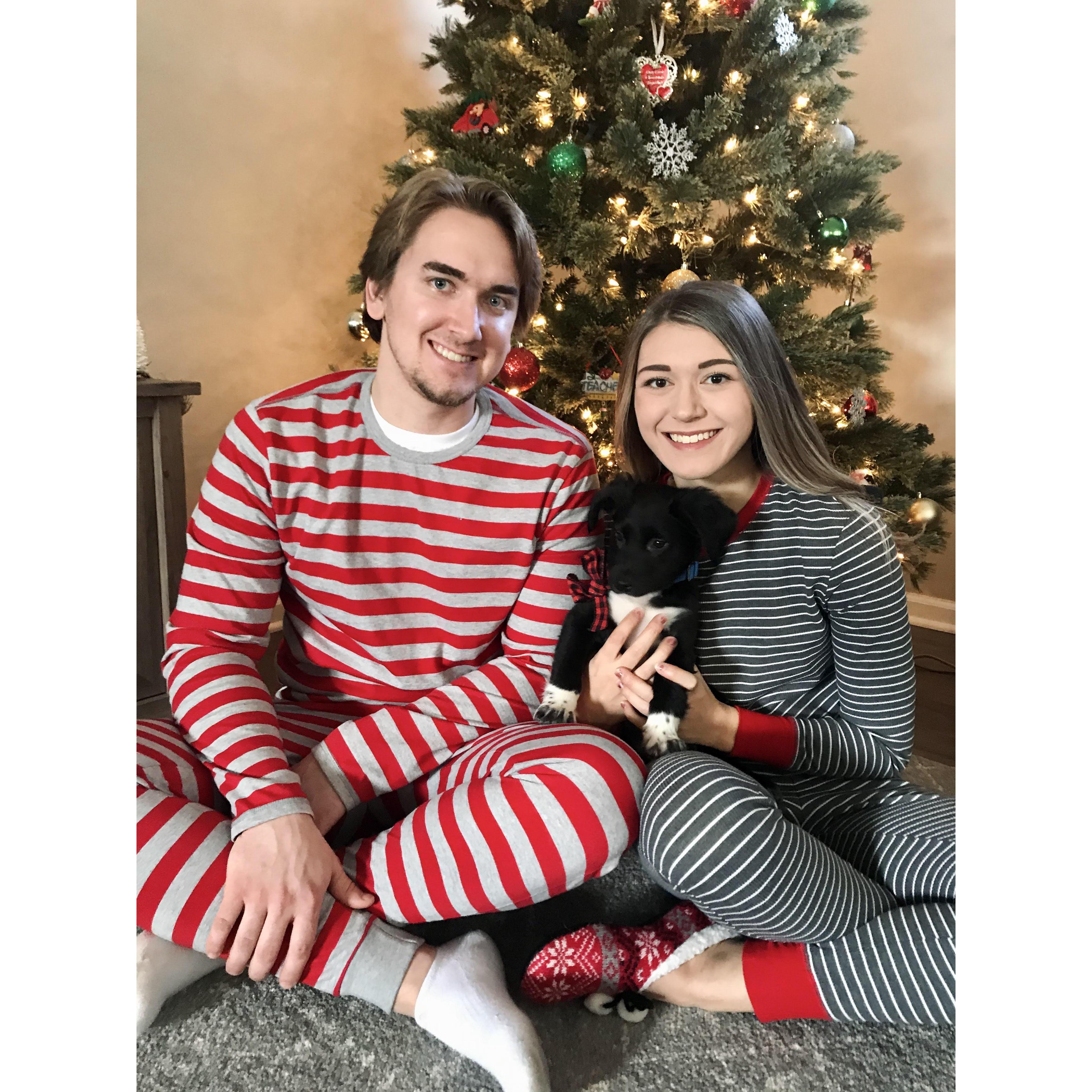 Our first Christmas in our home with our puppy, Milo.