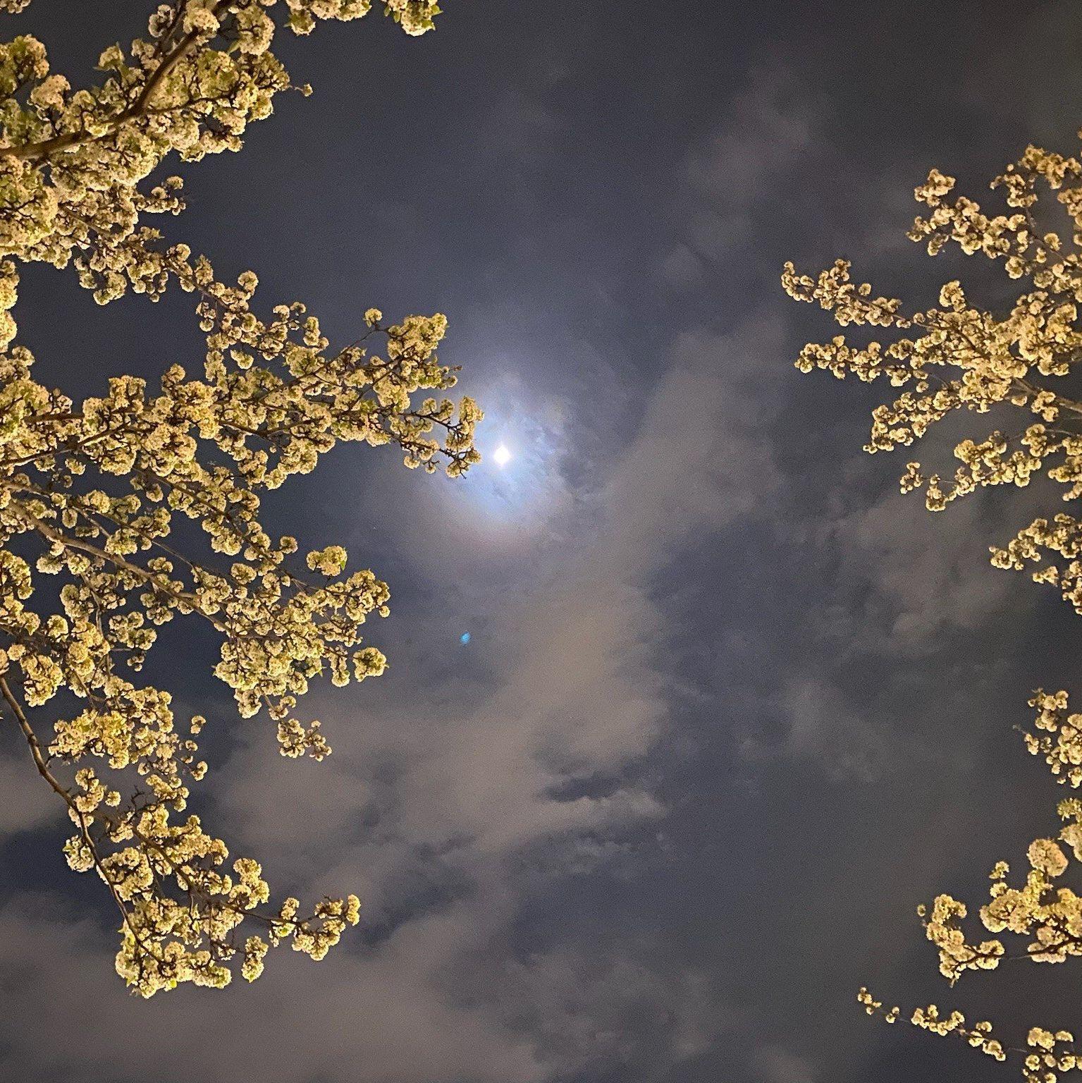 A photo from our first date at Little Island