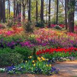 WRAL Azalea Garden