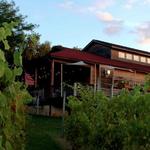 Sandhill Crane Vineyards