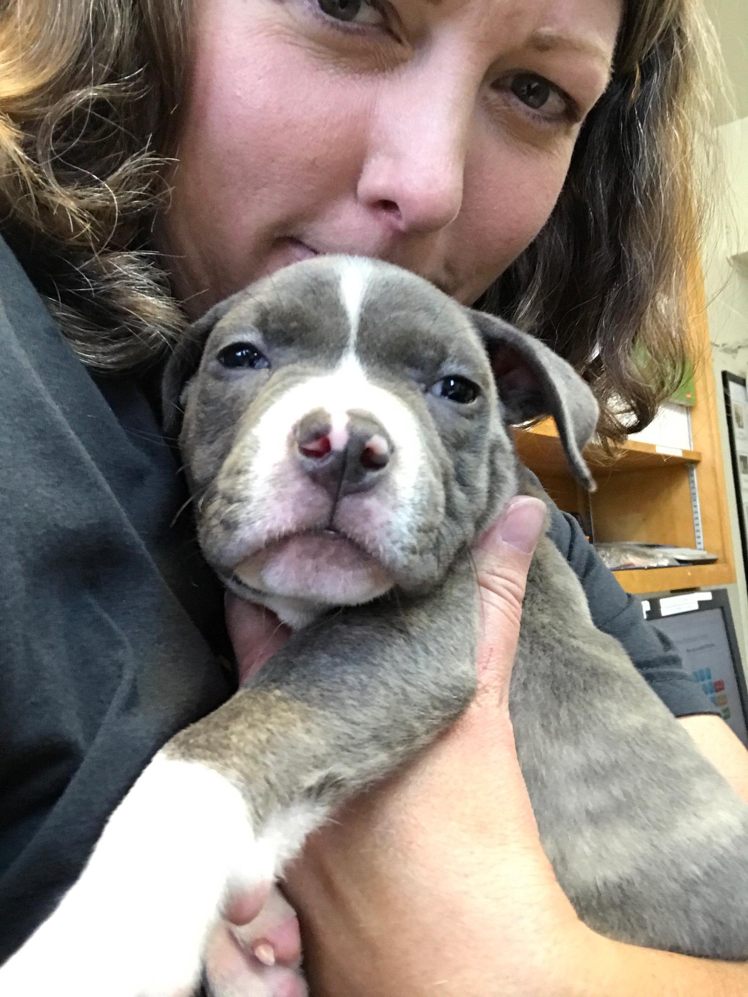 Dory Squish Loomer Pascoe at 9 weeks old