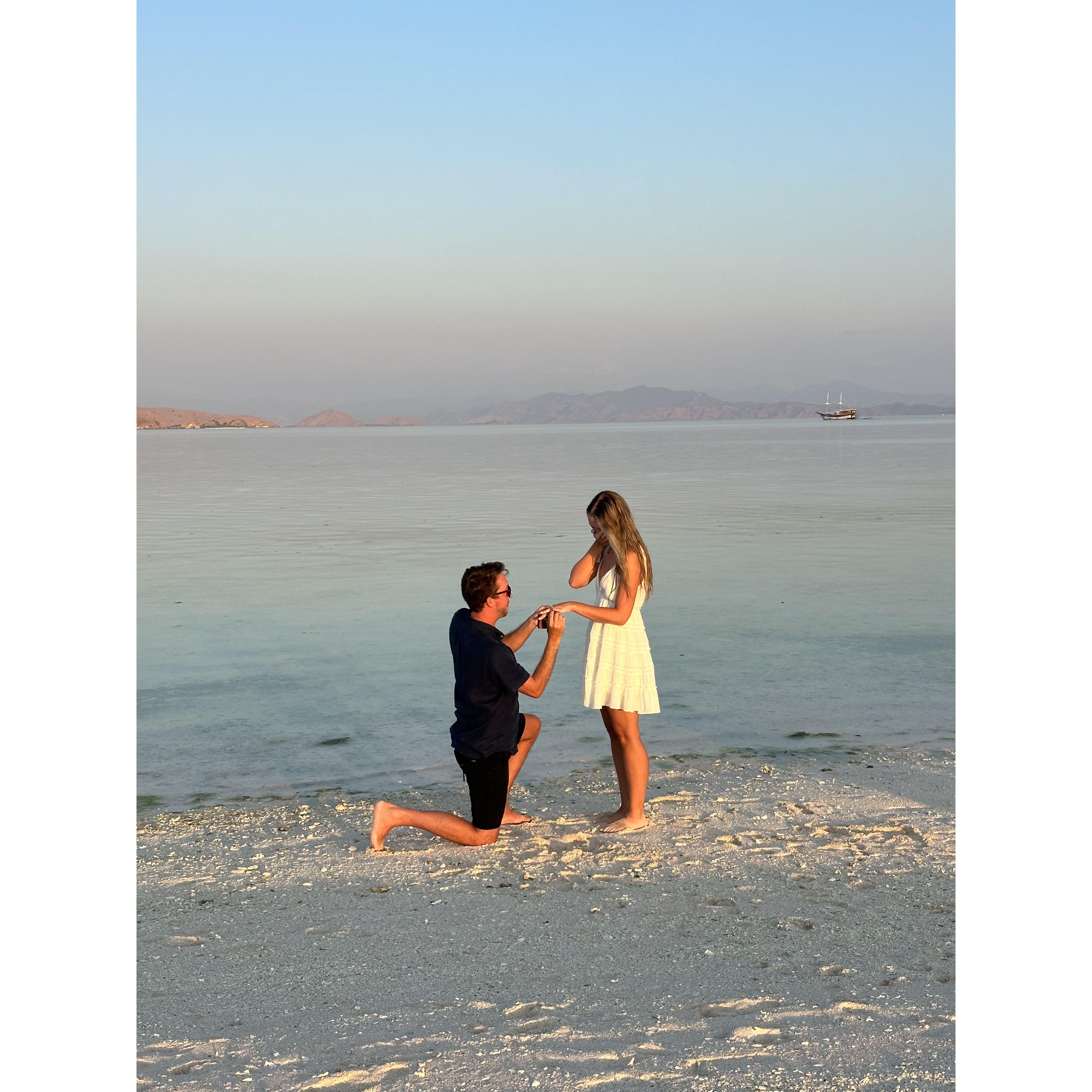 The proposal!