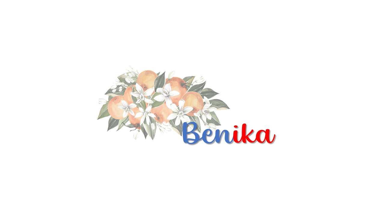 Footer image