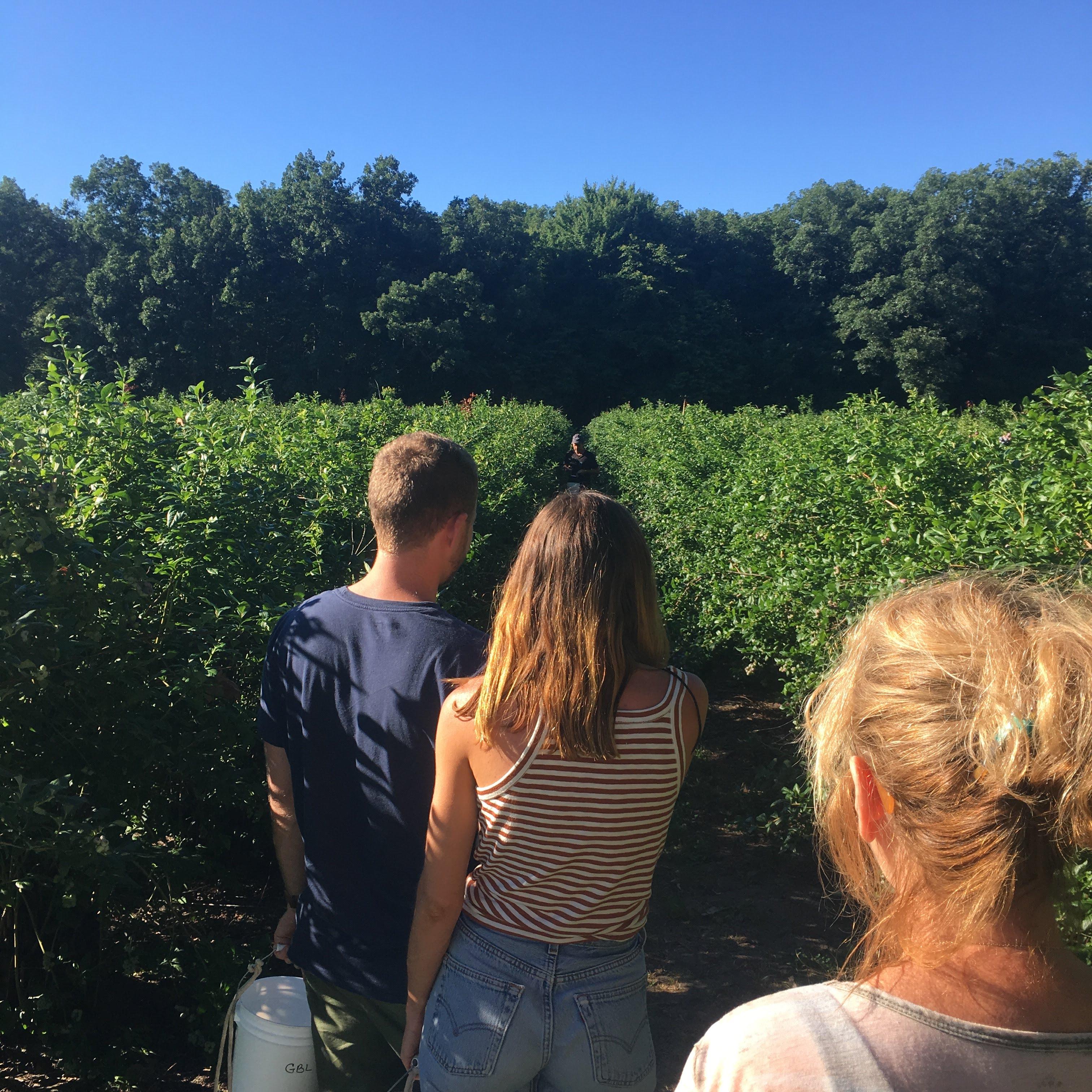 Indiana in summer. Ang comes from a farming family and we go to visit Indiana nearly every summer.