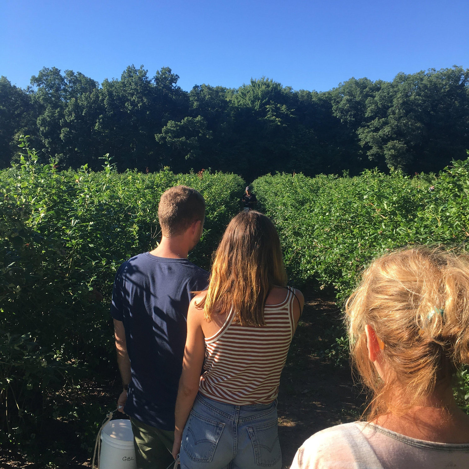 Indiana in summer. Ang comes from a farming family and we go to visit Indiana nearly every summer.