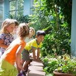 Butterfly Pavilion