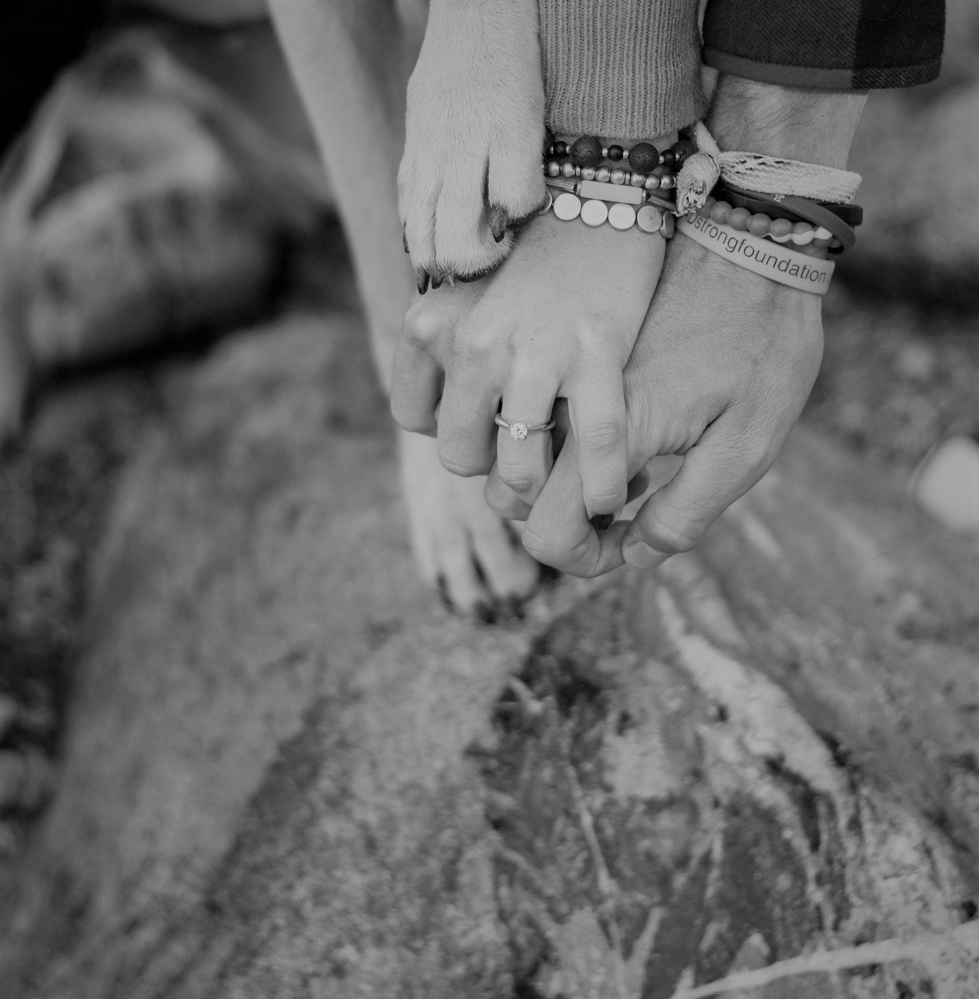 The Wedding Website of Alexandra Brandin and Zachary Morse