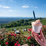 Carter Mountain Orchard