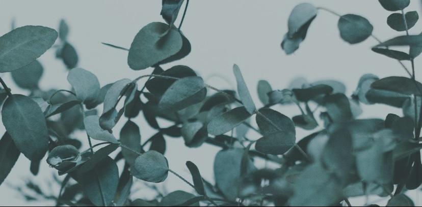 The Wedding Website of Marcia Ghedina and Kyle Holmes
