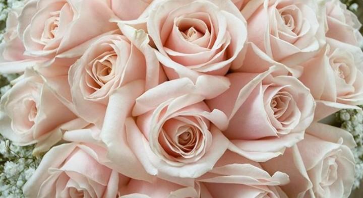 The Wedding Website of Richard Sabala and Marissa Ortega