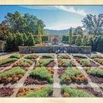 The North Carolina Arboretum
